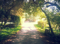 Acc&egrave;s aux lieux de r&eacute;ception